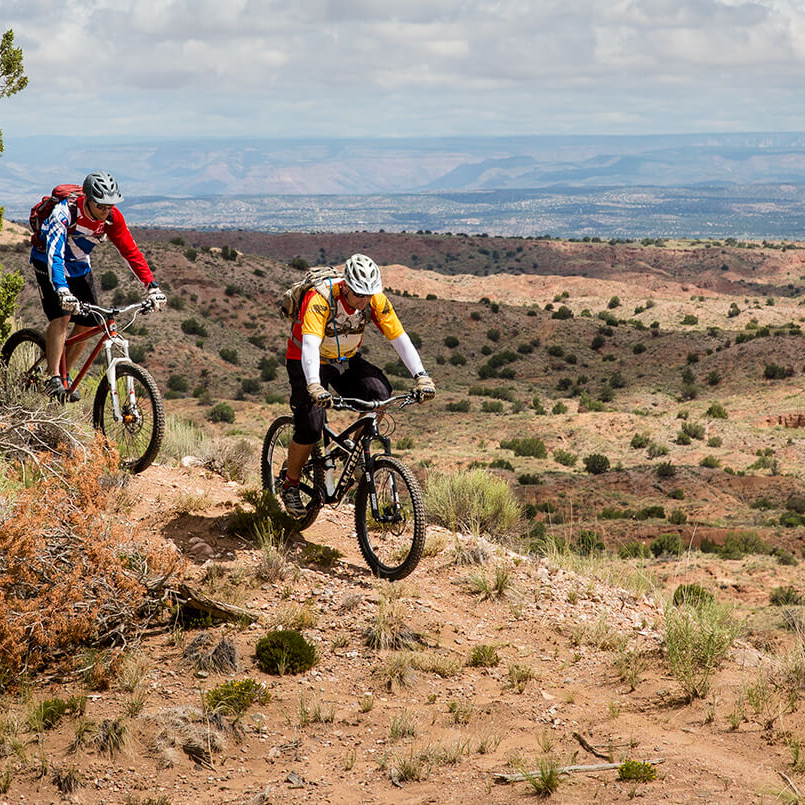 Mountain bikers on trails